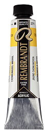 Rembrandt Acrylics 40ml Cadmium Yellow Medium