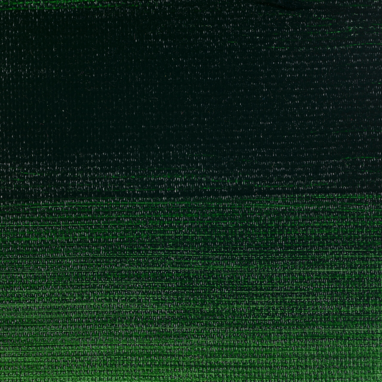 Rembrandt Acrylics 40ml Sap Green
