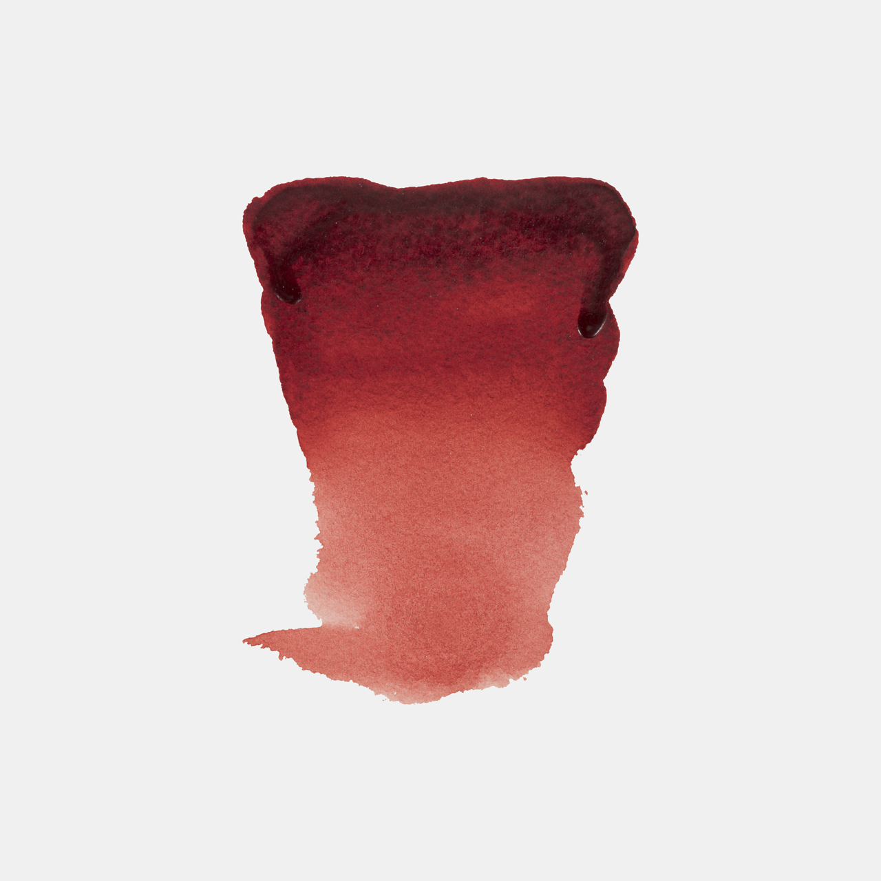 Rembrandt Akvarell 5 ml - 19