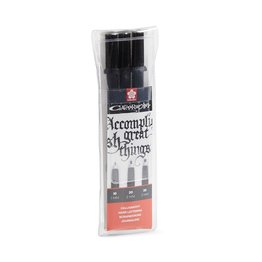 Pigma Calligrapher set