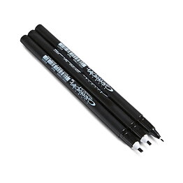 Pigma Calligrapher set