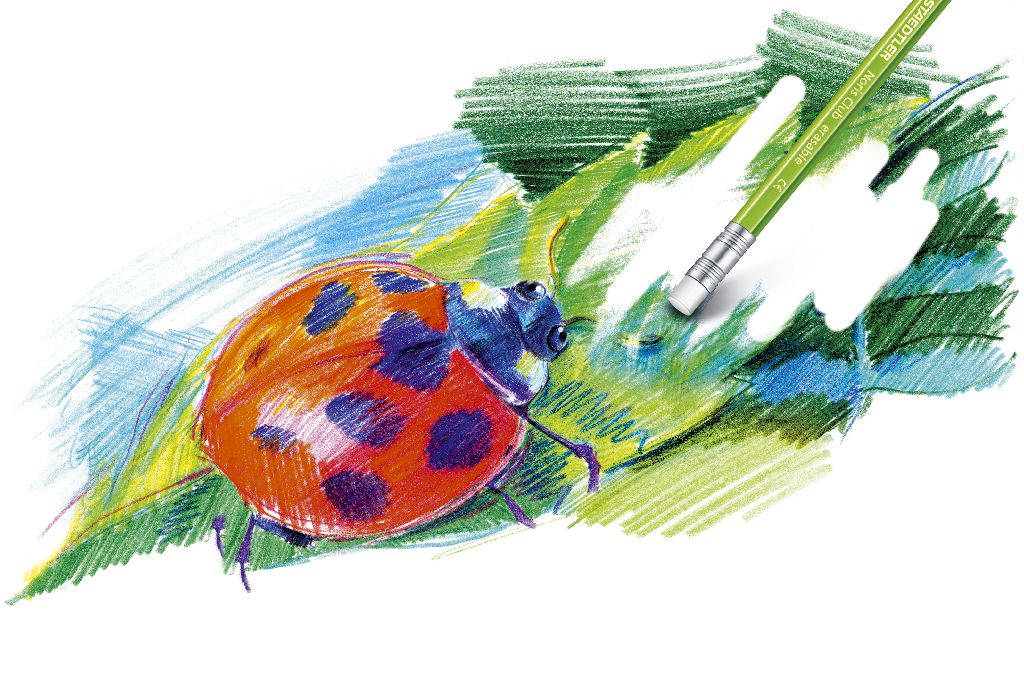 Noris Club 144 50 Erasable coloured pencil - 3