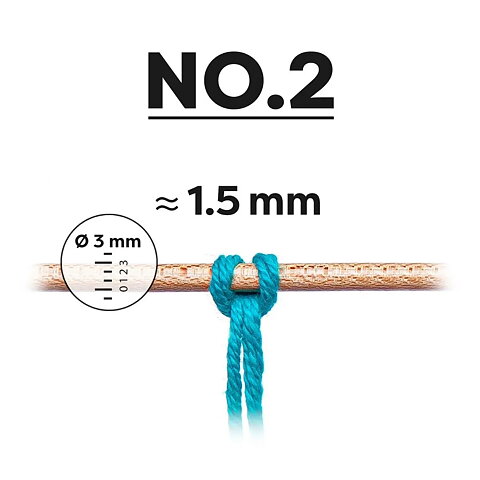 NO 2