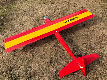 Woodie 500, Pylonracer klass Q500