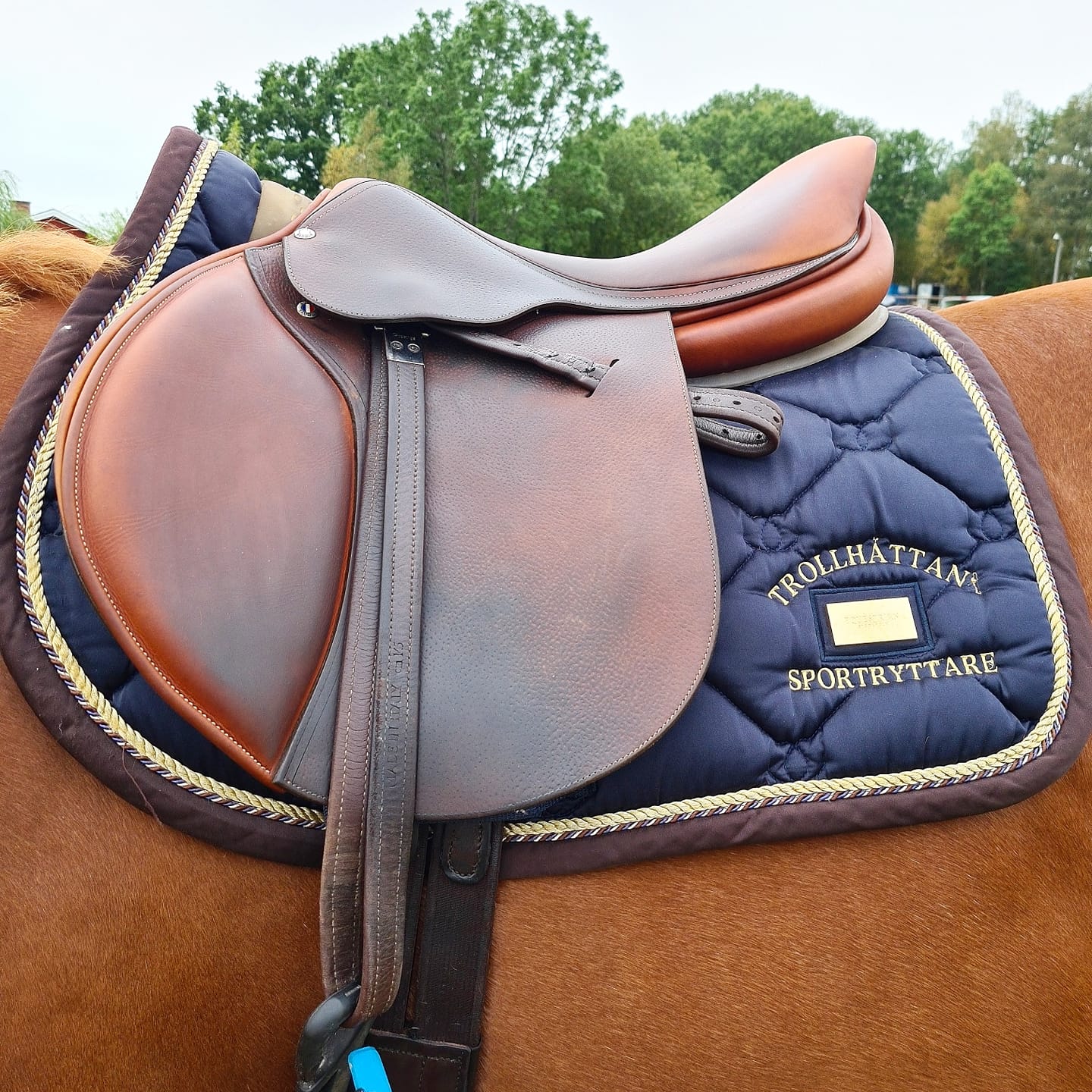 Klubbschabrak TSR; Hoppning Equestrian Stockholm Royal Classic