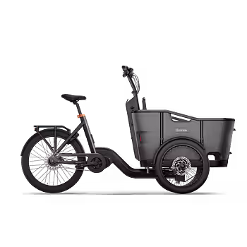 Ecoride Loader 806