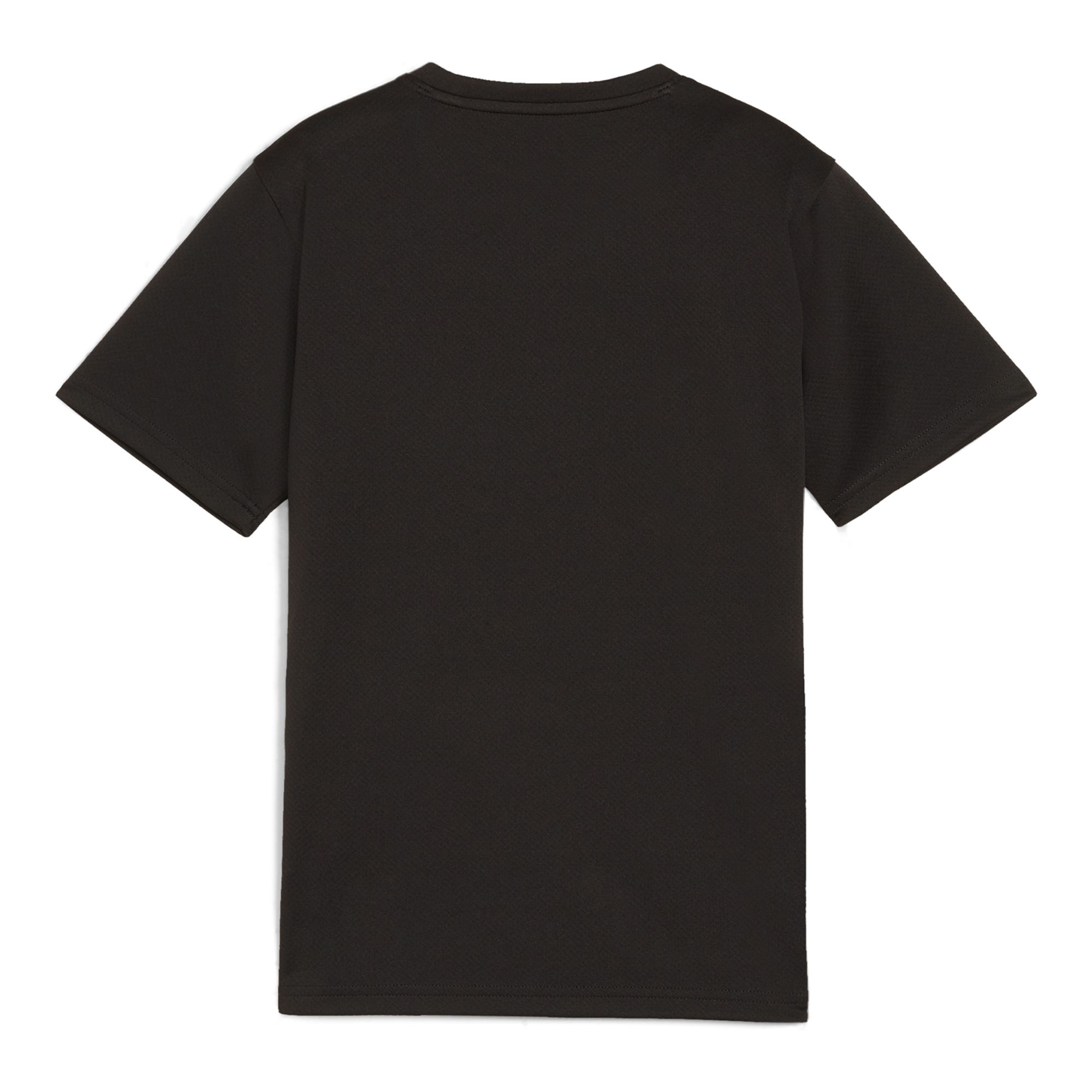 Puma Teamgoal Jersey Jr (BK Astrio Junior) - 2