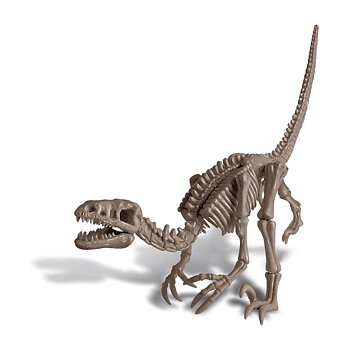 Arkeolog-lek, Velociraptor Skelett