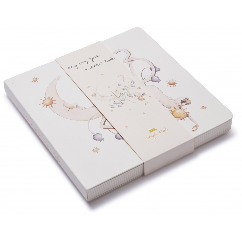 MY FIRST NUMBER BOOK