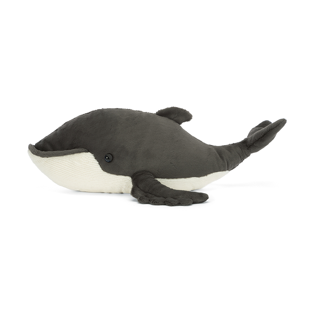 Humphrey the Humpback Whale - 2