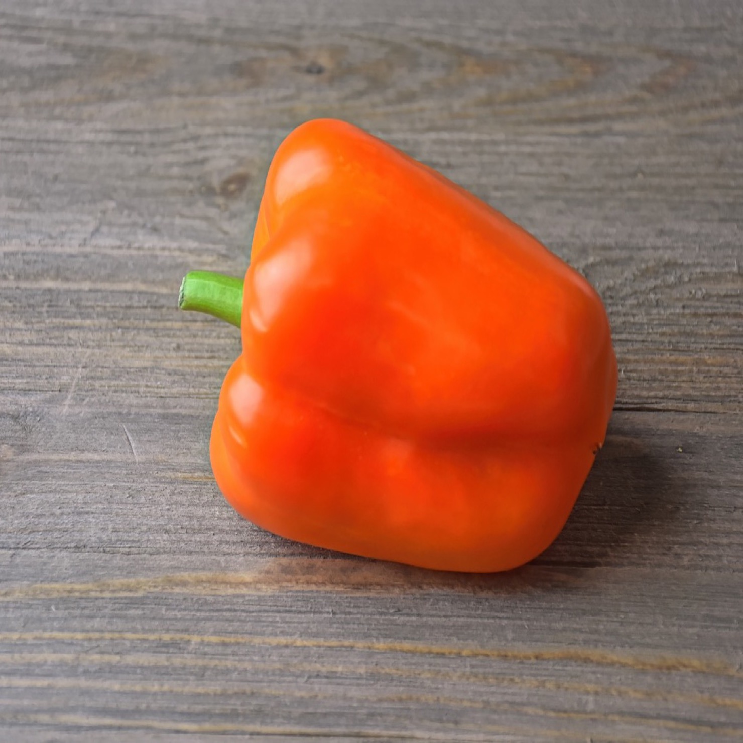 Paprika 'Lamia' - 2