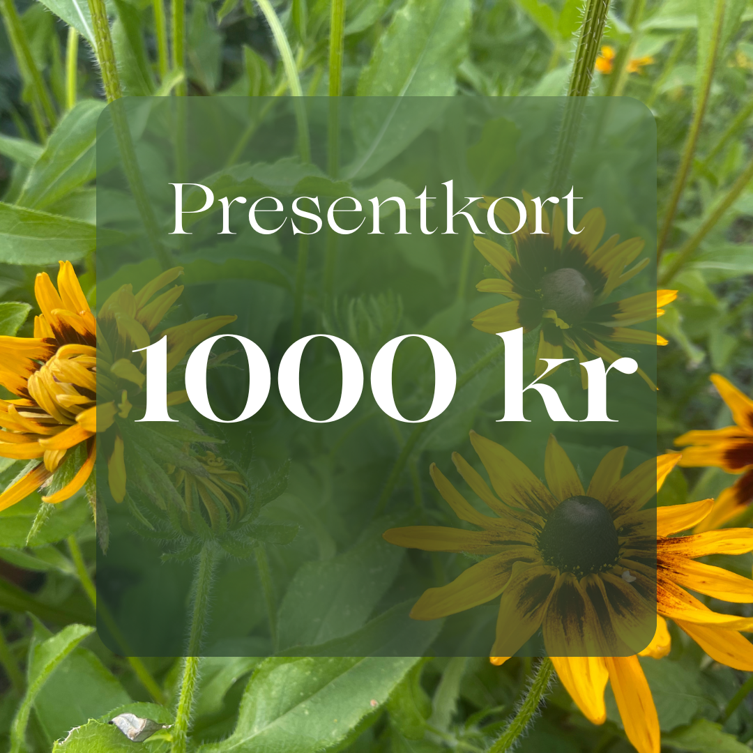 Presentkort 1000 kr