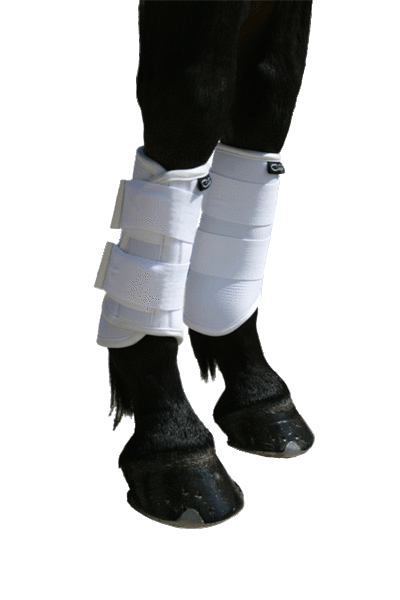 Pony 2025 dressage boots