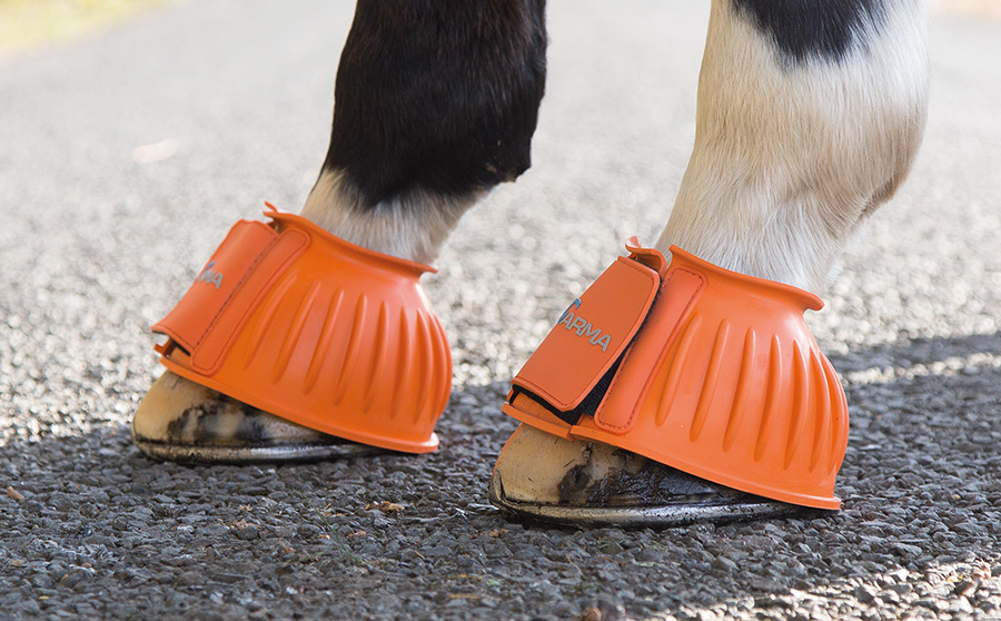 Orange horse outlet boots