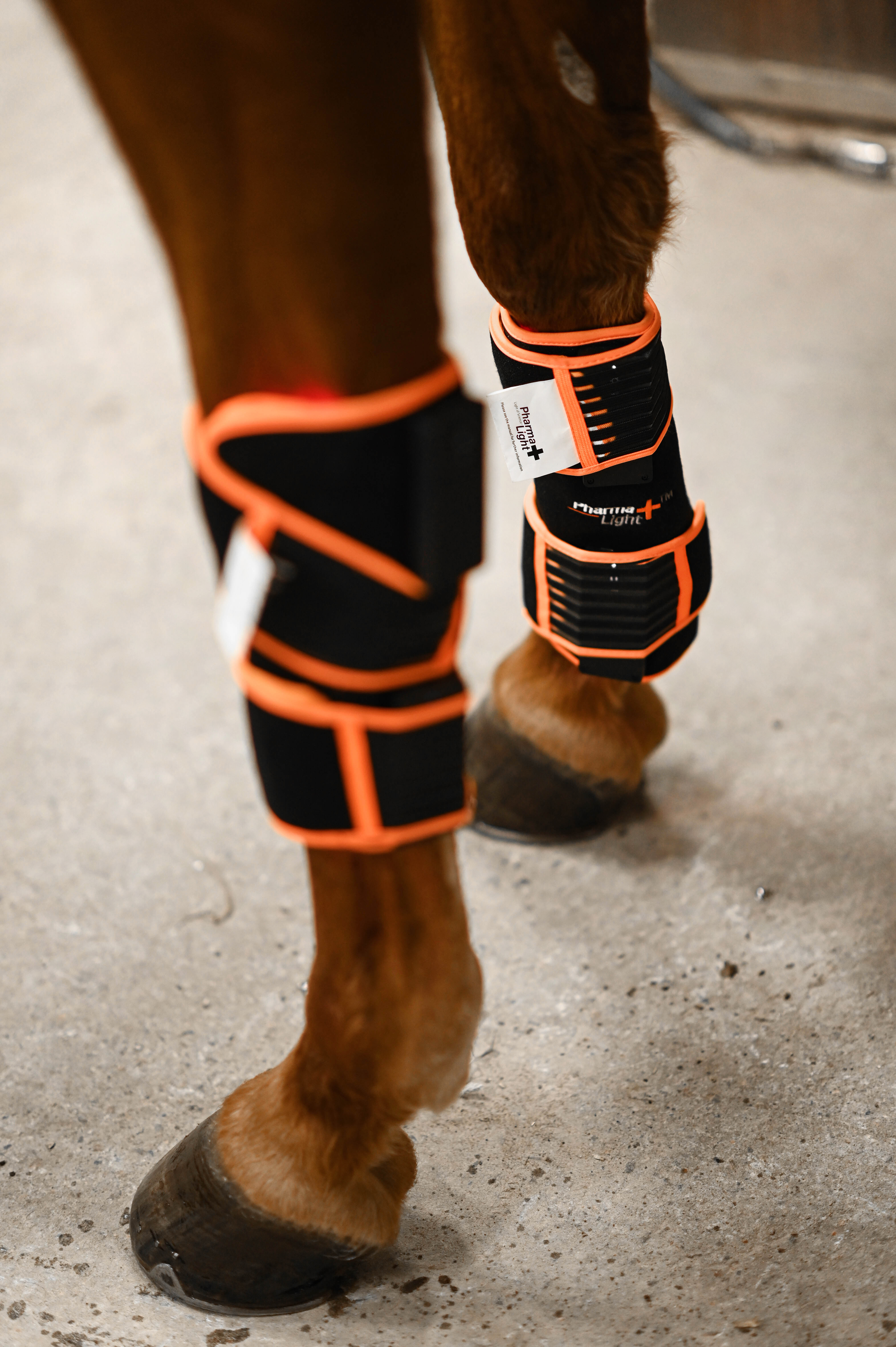 ModelLight Led Treatment Pad PEMF Equine 2-PACK - 12