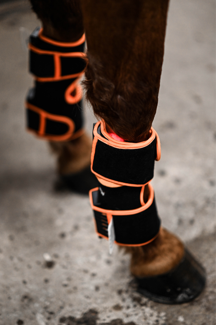 ModelLight Led Treatment Pad PEMF Equine 2-PACK - 11