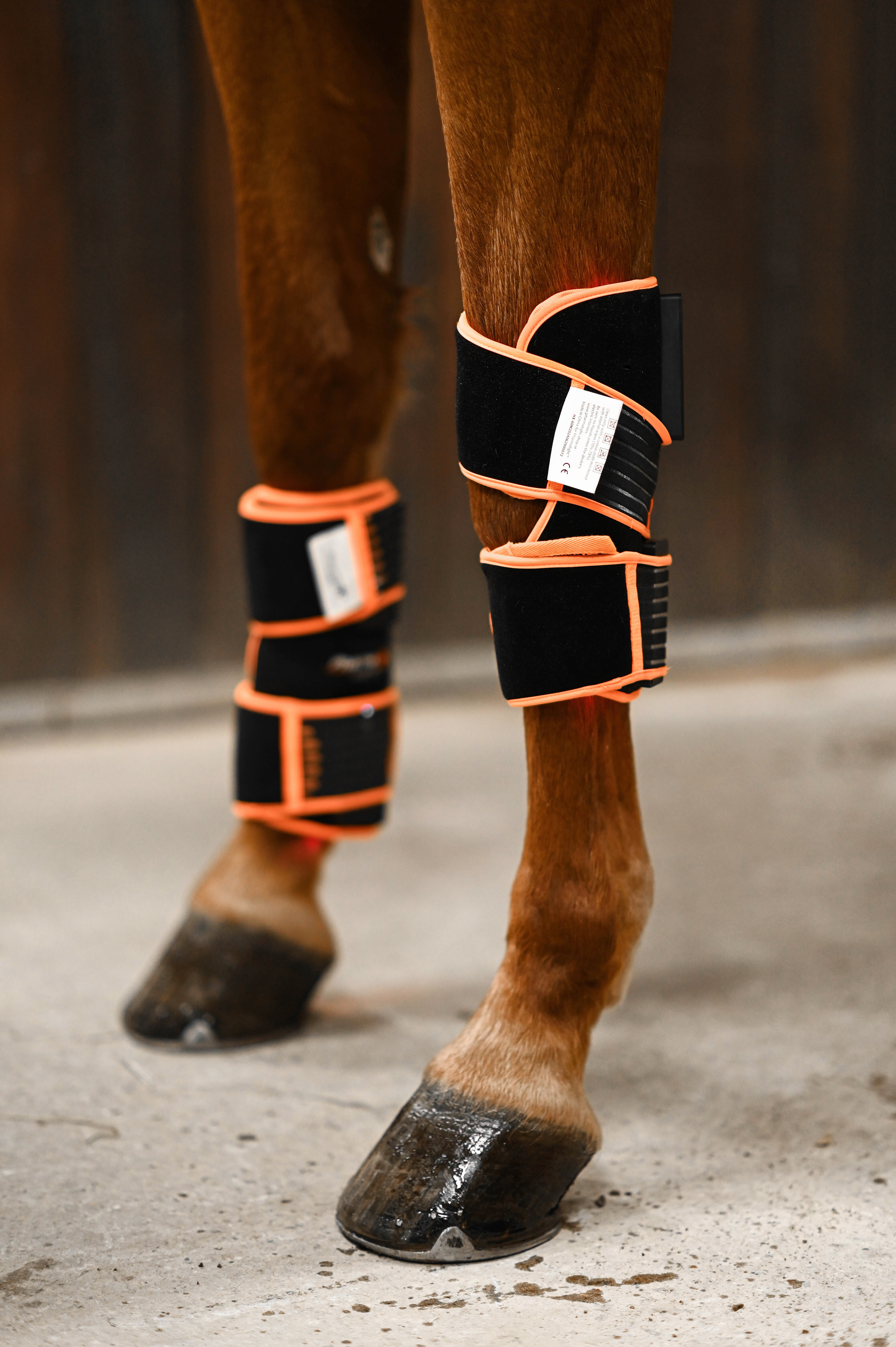 ModelLight Led Treatment Pad PEMF Equine 2-PACK - 13
