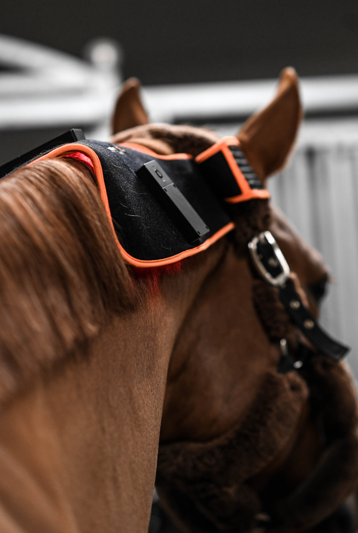 ModelLight Led Treatment Pad PEMF Equine 2-PACK - 9