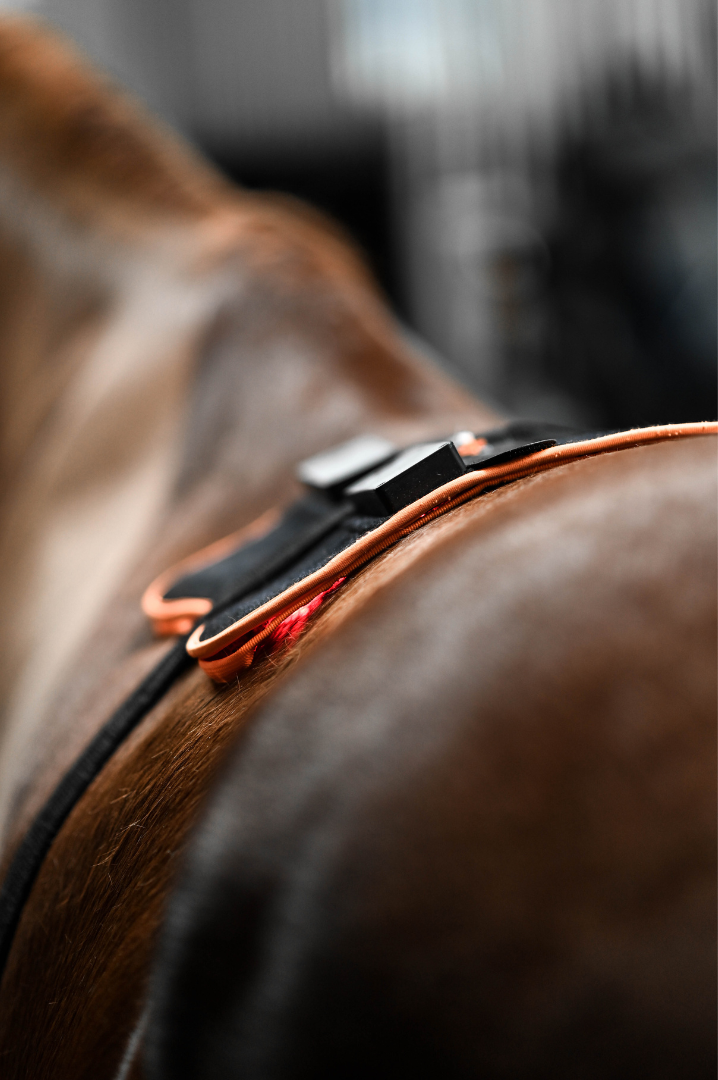 ModelLight Led Treatment Pad PEMF Equine 2-PACK - 7