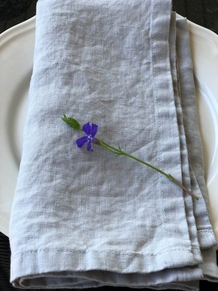 Table Napkin -Cool Gray