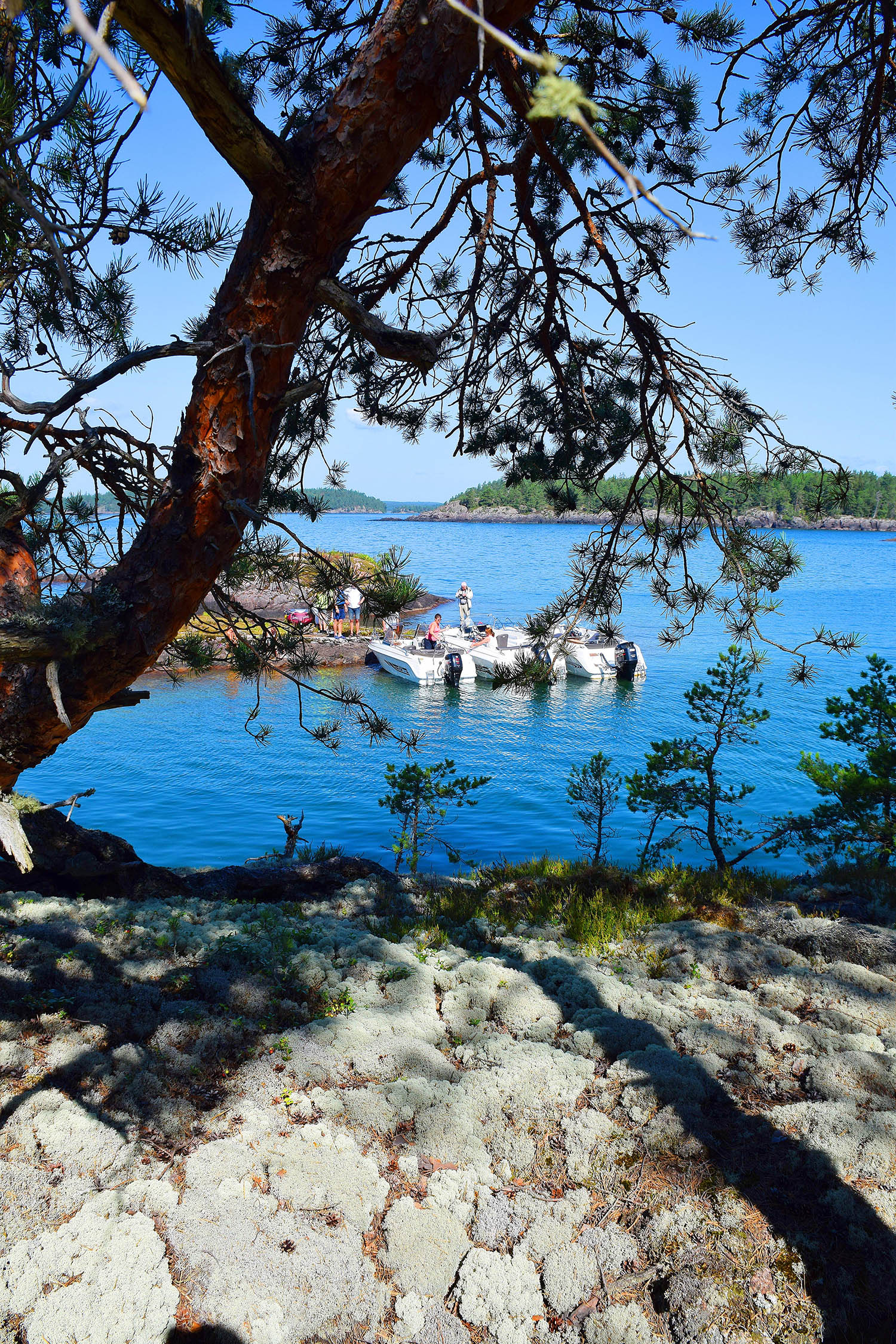HR miljö
