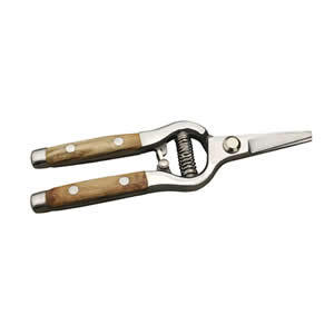 Flower secature in stainless steel