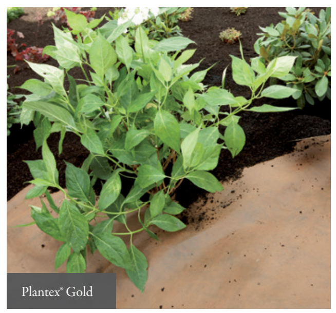 PLANTEX GOLD, 1,15X10M , 125 G/M2 - 2