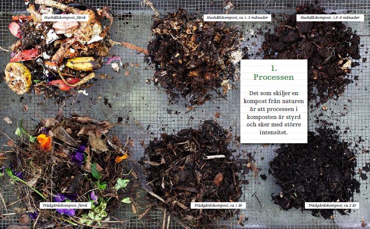 What happens in the compost