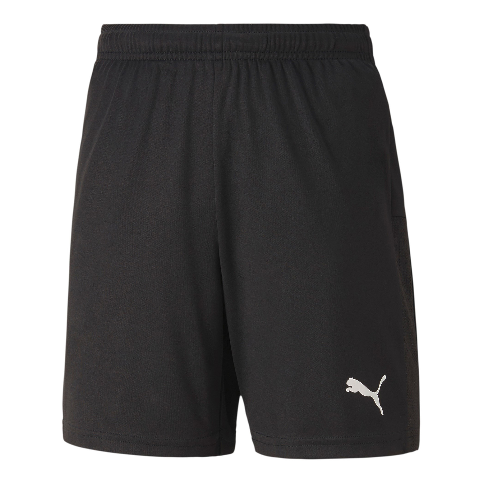 Puma Teamgoal 23 Knit Shorts (Wollsjö Aif)