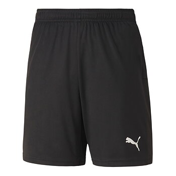 Puma Teamgoal 23 Knit Shorts (BKS) 