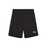 Puma TeamGoal shorts (Liga If) 