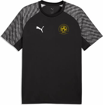 Puma TeamLiga26 Jersey DAM (BKS) 