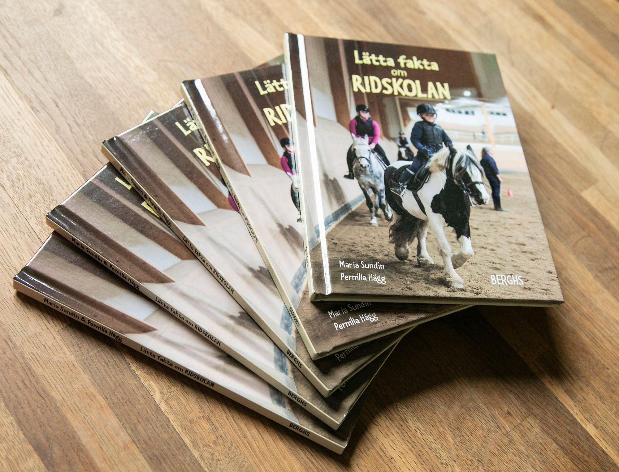 Bok: Lätta fakta om ridskolan - 2