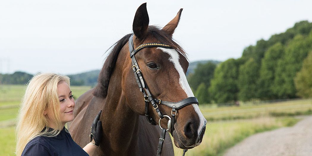 Sveriges enda ehandel för ridhjälpmedel  