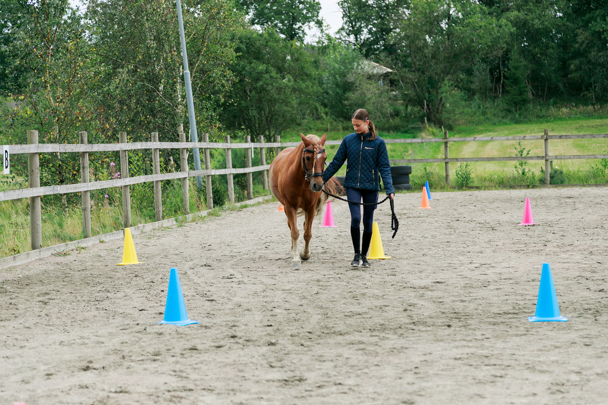 Pedagogiska hjälpmedel  