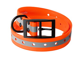 Hundhalsband Orange Med Reflex
