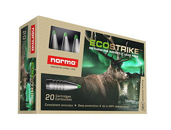 30-06 Norma Ecostrike 10,7G (20)