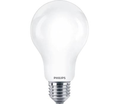 LED lampa normal A67 frost, LED GLAS 150W STA FR ND - 2