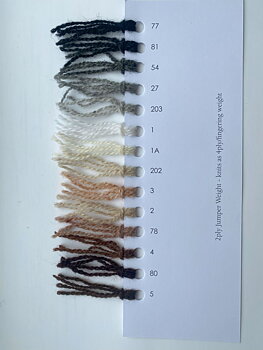 54 (Dark grey) 2ply Jumper Weight J&S