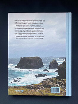 Mer Fair Isle-stickning av Carina Olsson