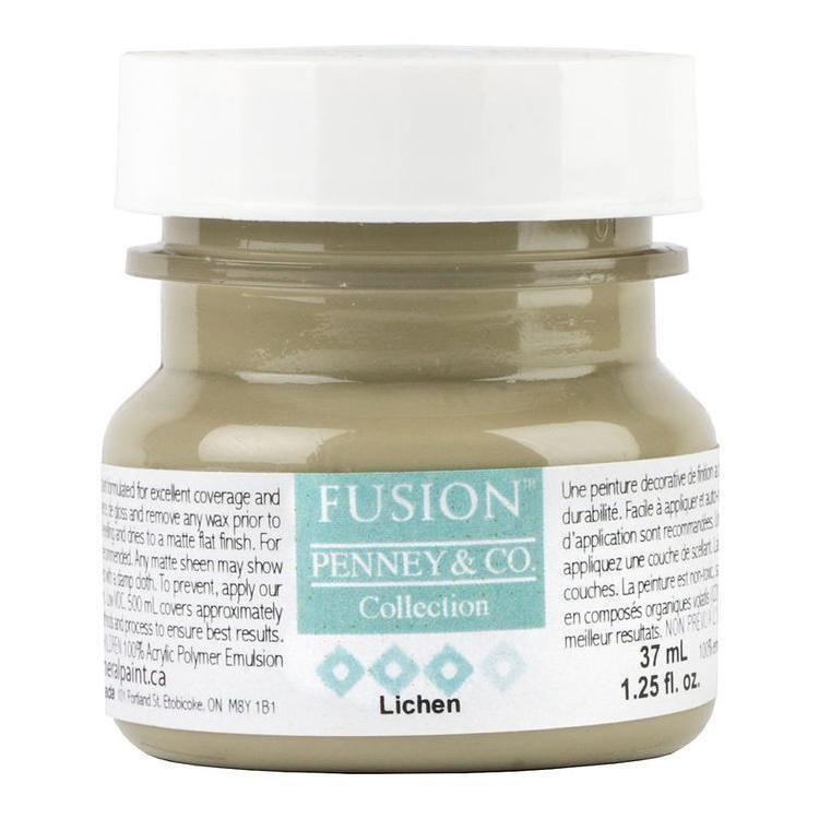Fusion Mineral Paint Lichen - 11