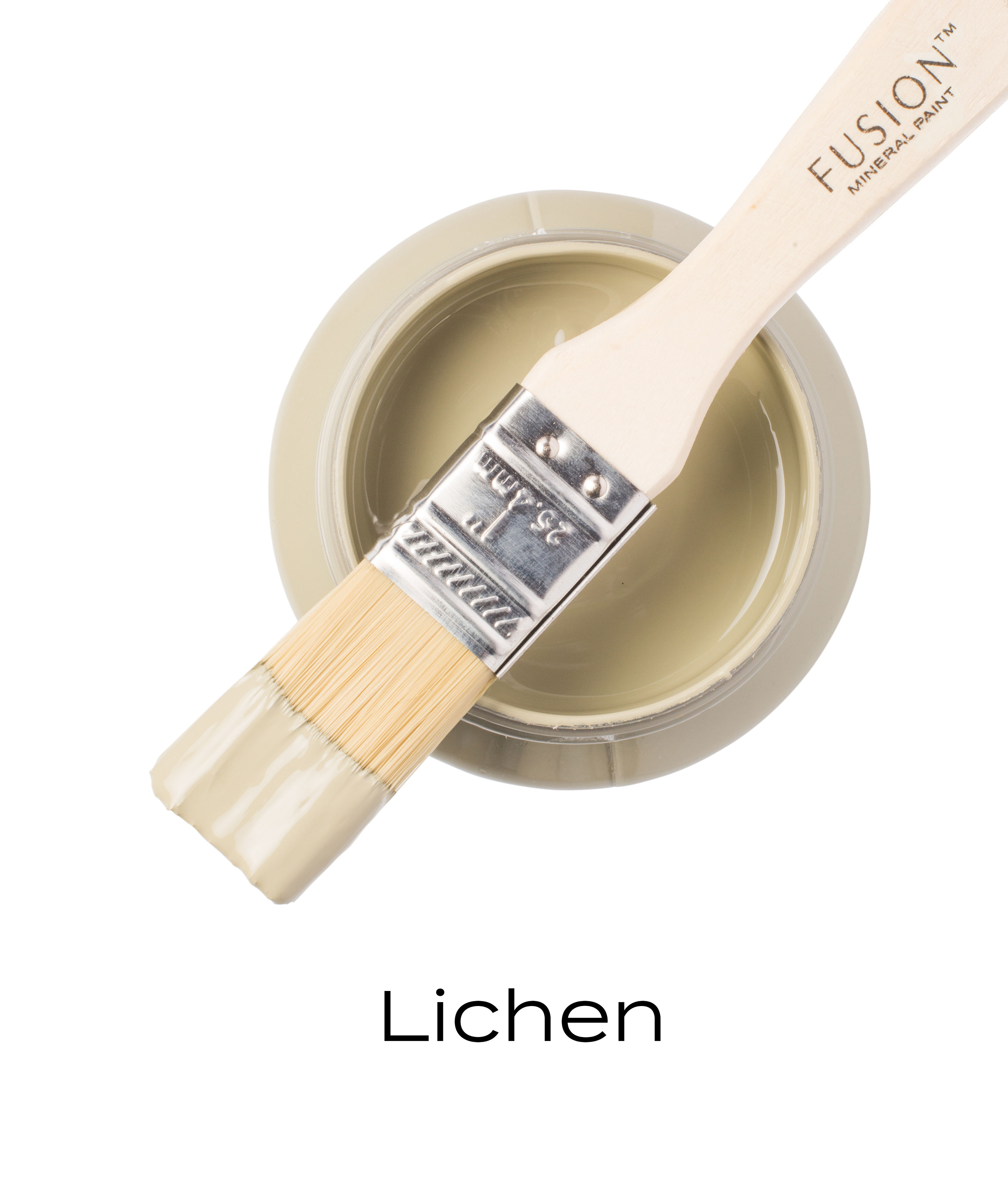 Fusion Mineral Paint Lichen - 3