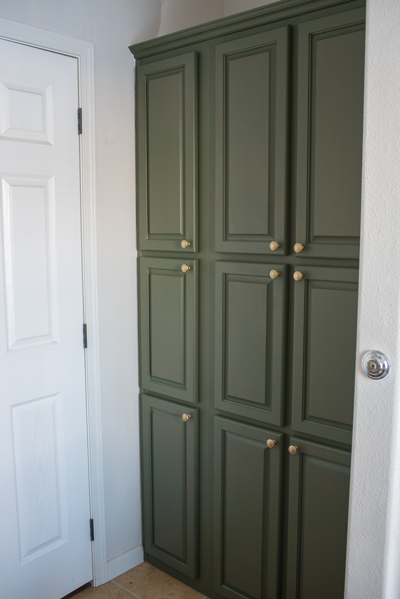 Fusion Mineral Paint  Bayberry  - 15