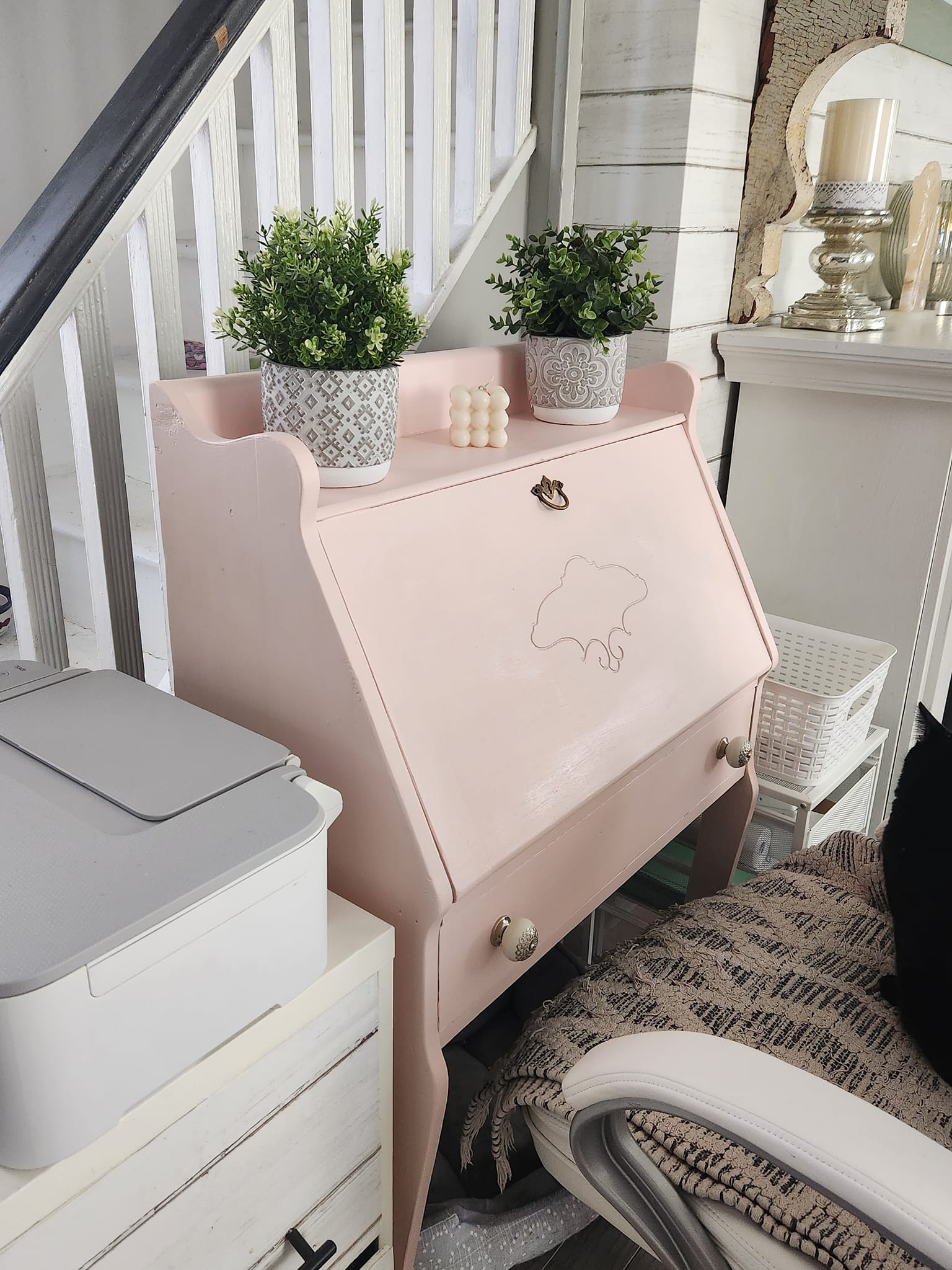 Fusion Mineral Paint -Peony - 7