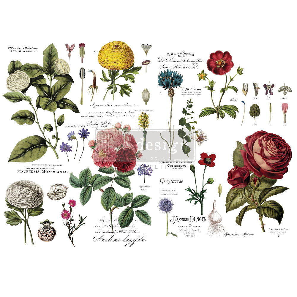 Transfer-Vintage Botanical