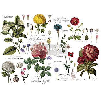 Transfer-Vintage Botanical