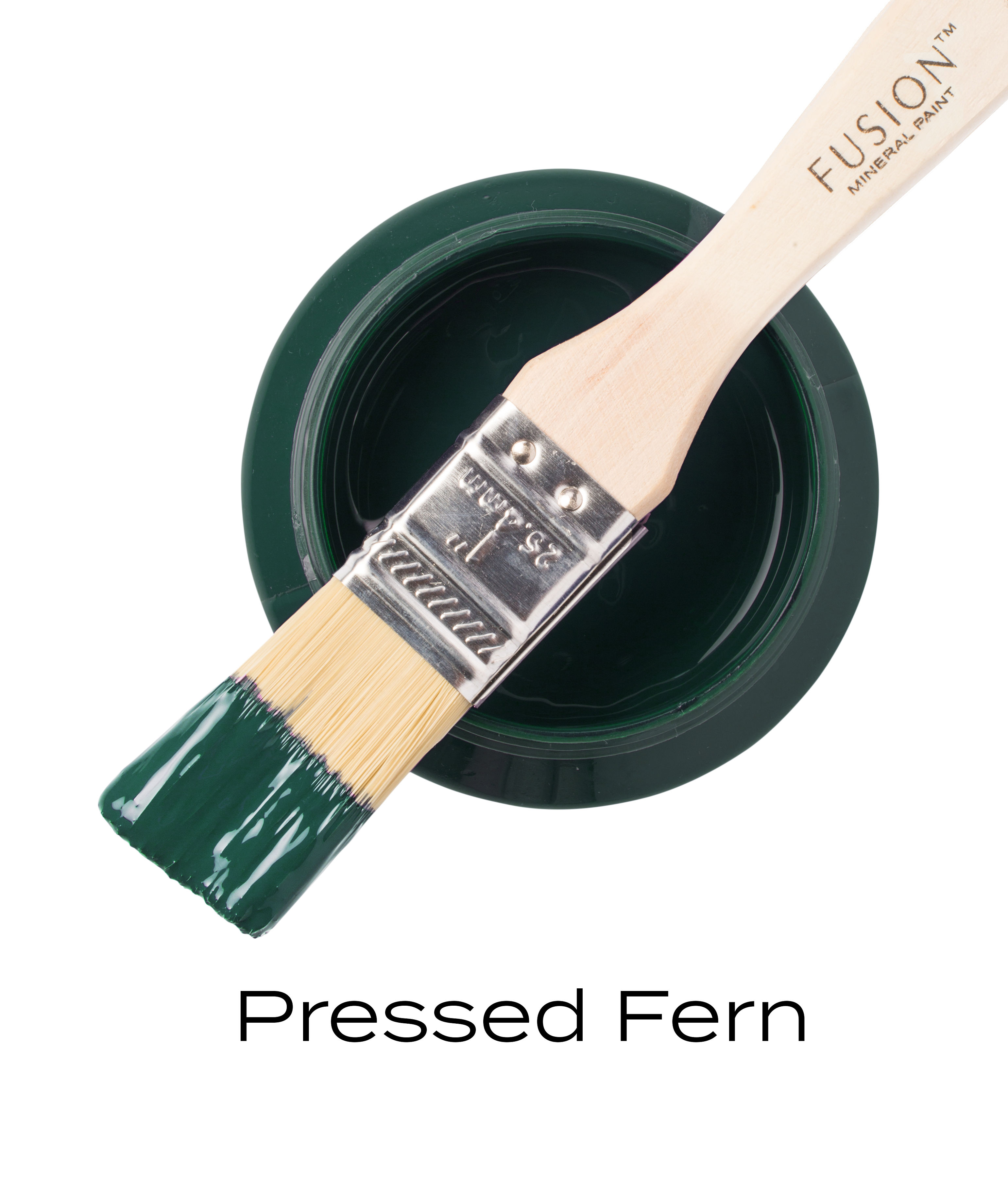 Fusion Mineral Paint Pressed Fern  - 4