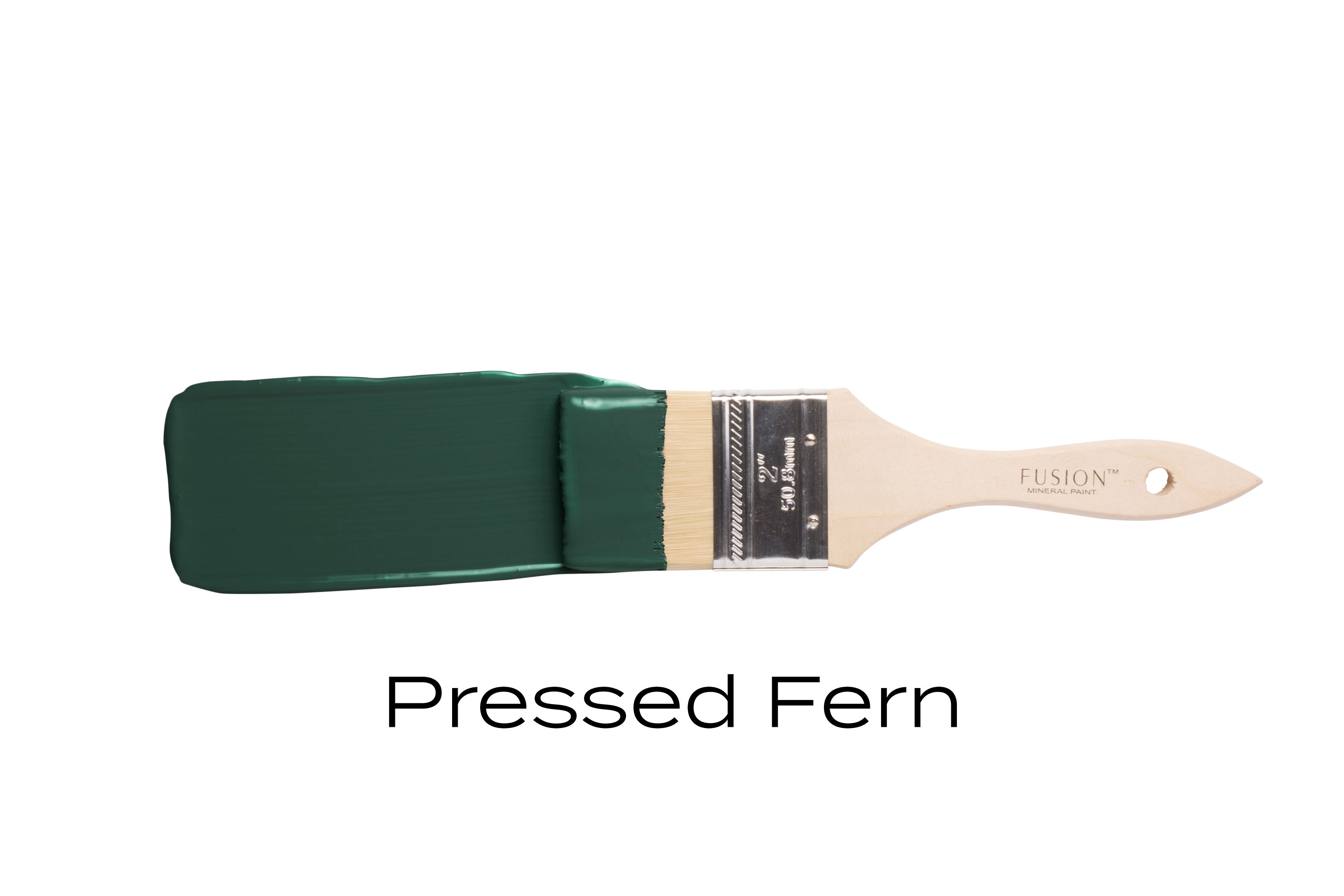 Fusion Mineral Paint Pressed Fern  - 3