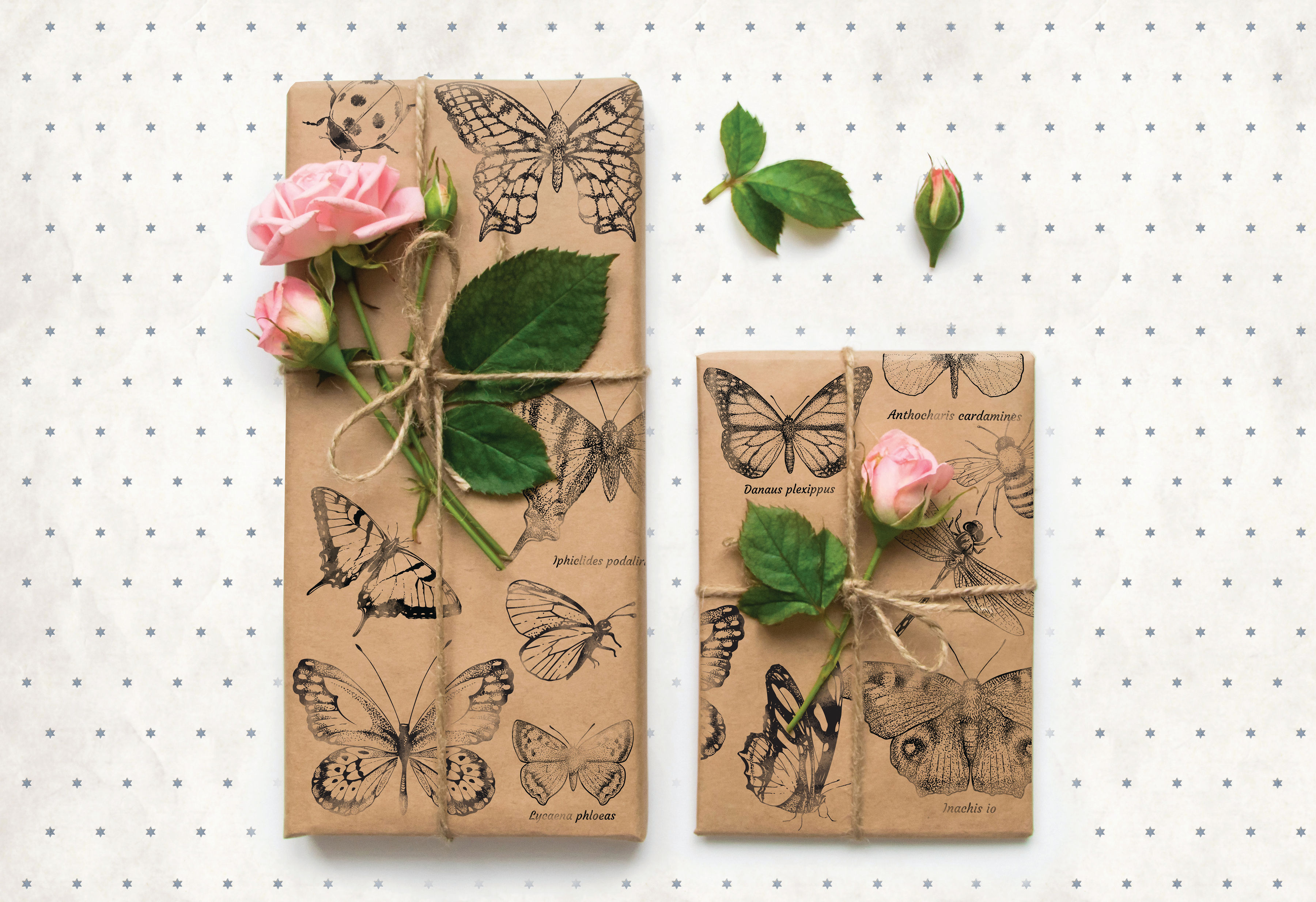 Redesign -  Stamps - Monarch Collection - 3