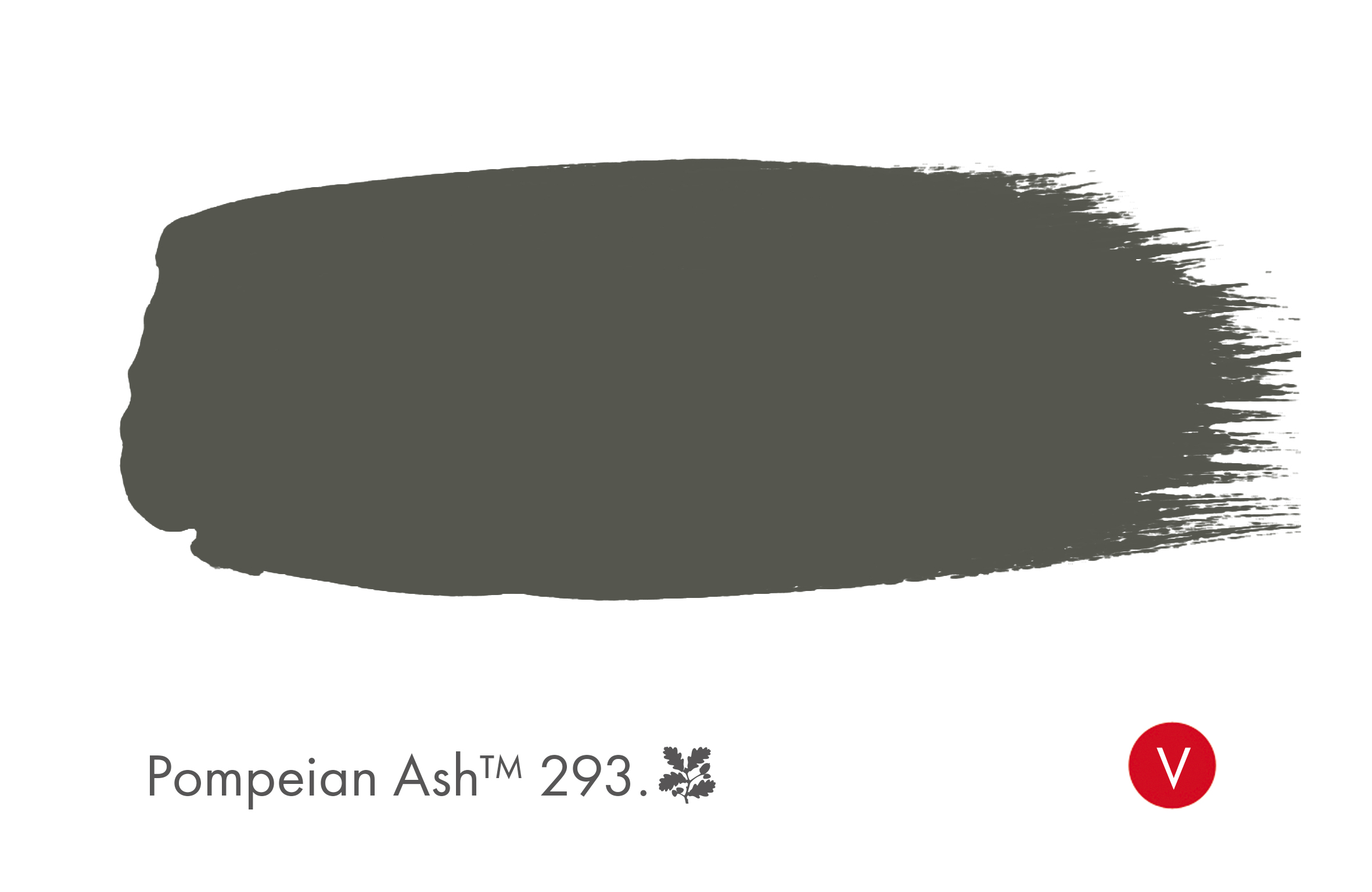 POMPEIAN ASH 293 - 3